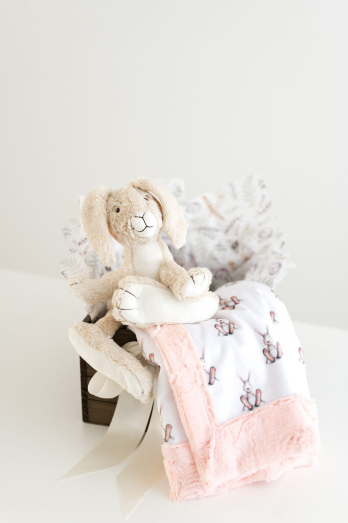 Small bunny with minky blanket for infants and children